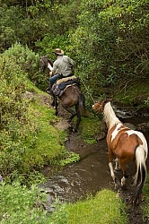 River Crossing on Ride into High Andes, Ecuador