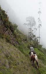 Rodrigo on Ride into High Andes