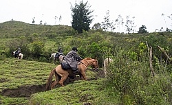 Heather Climbing Uphill on High Andes Ride