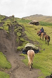 Riding in the high Andes