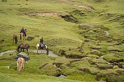 Getting a drink from the valley river in the high Andes