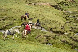 Getting a drink from the valley river in the high Andes