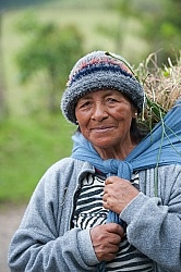 Lady that Collected Grass for her Guinea Pigs