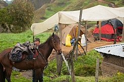 Morning Prep Leaving Angels