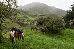 Morning at Angels farm in the high Andes, Ecuador
