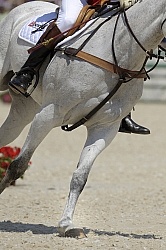 Bruce Davidson & Jam, Rolex 2009 Legs in Action