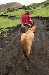 Rodrigo leads Bayou in the High Andes leaving Angels farm