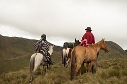 The View in the High Andes