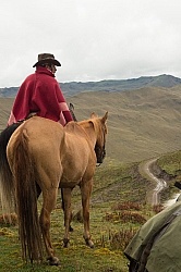 Rodrigo leads Bayou in the High Andes leaving Angels farm
