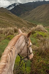 The View in the High Andes