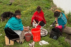 Ecuadorian Women Cleaning Fish