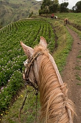 The View on the way down from the High Andes