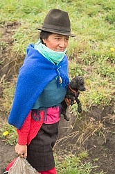 Ecuadorian Woman Carrying a Puppy