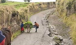 An Elderly Couple Secure the Load on Their Donkey