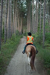 Being Seen on the Trail