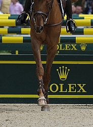 Rolex 2011 Arena Footing