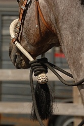 Bosal