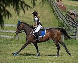 Bitless Bridle Eventing