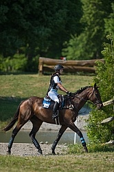 Bitless Bridle Eventing