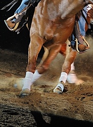 Arena Footing for Reining