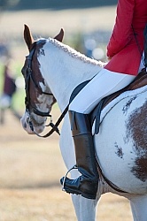 Alltech WEG Eventing Cross Country Riding Boots