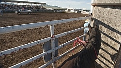 Broncos in the Chute