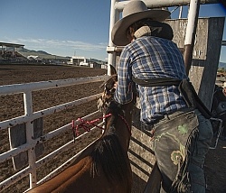 Broncos in the Chute