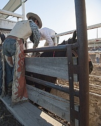 Broncos in the Chute