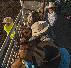 Broncos in the Chute