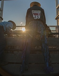 Broncos in the Chute