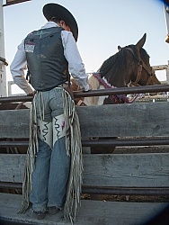 Broncos in the Chute