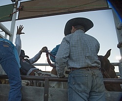 Broncos in the Chute