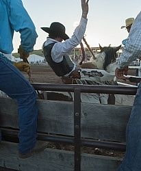 Broncos in the Chute