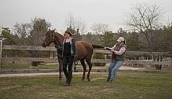 Vet - Neurologic test Neurology Test