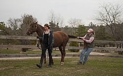 Vet - Neurologic test Neurology Test