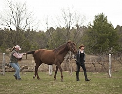 Vet - Neurologic test Neurology Test