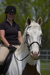 Paint Portrait Paint Portrait