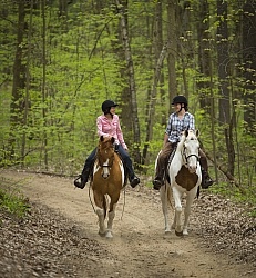 Paint on the Trail in Spring