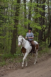 Paint on the Trail in Spring