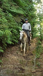 On the Trail at Finca La Guabina Havana