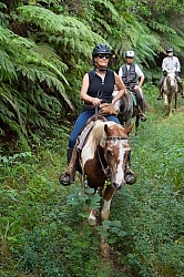 On the Trail at Finca La Guabina Havana