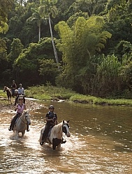 On the Trail at Finca La Guabina Havana