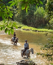 On the Trail at Finca La Guabina Havana