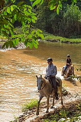 On the Trail at Finca La Guabina Havana