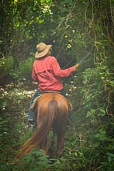 On the Trail at Finca La Guabina Havana