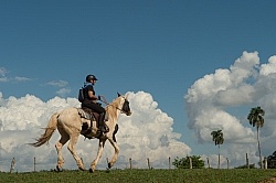 On the Trail at Finca La Guabina Havana