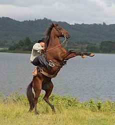 On the Trail at Finca La Guabina Havana