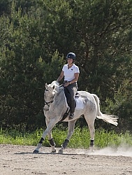Saddlewood Appaloosa Show Dressage Serpentine