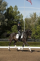 Dressage Serpentine