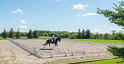 Outdoor Ring Dressage Serpentine